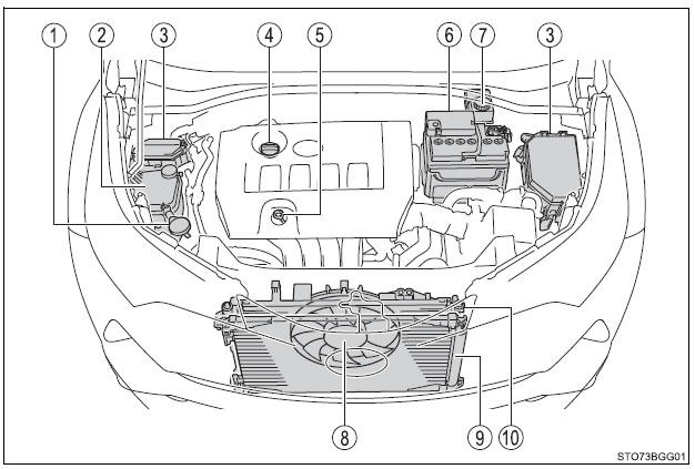 Toyota CH-R. Do-it-yourself maintenance